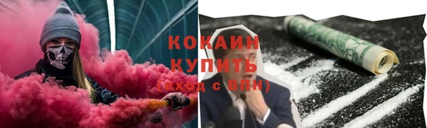 прущие крисы Бородино