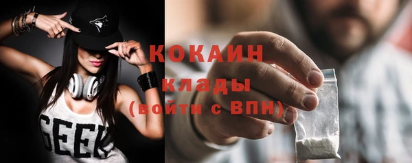 сатива Богданович