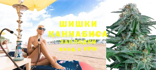 прущие крисы Бородино