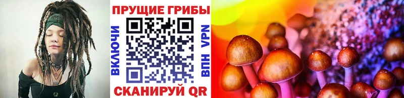 Галлюциногенные грибы Cubensis Шлиссельбург